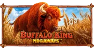 ภาพเกม Buffalo King Megaways ที่ lucabet8 รวบรวมไว้
